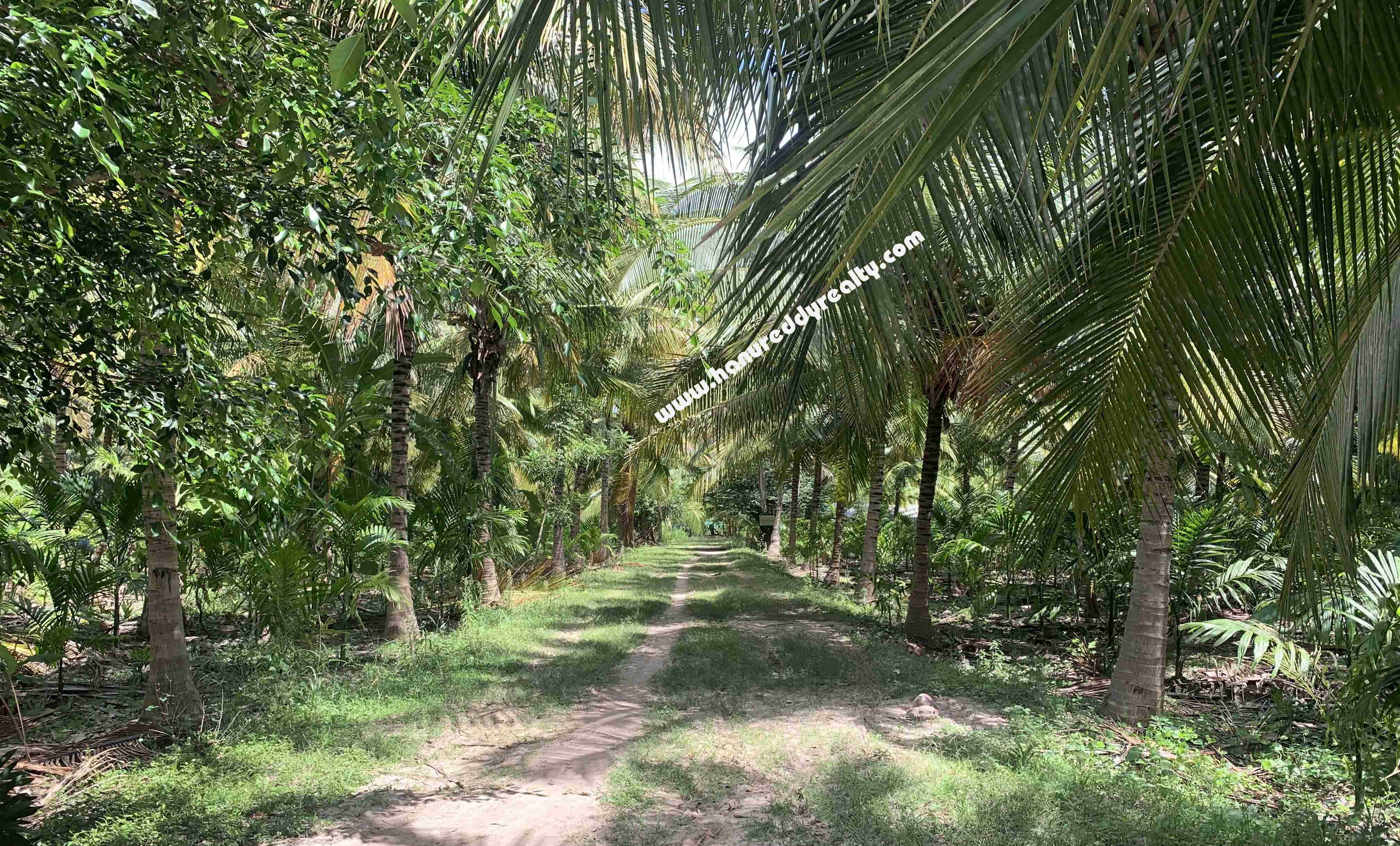 Agricultural Land for Sale at ThondamuthurCoimbatore Hanu Reddy Realty